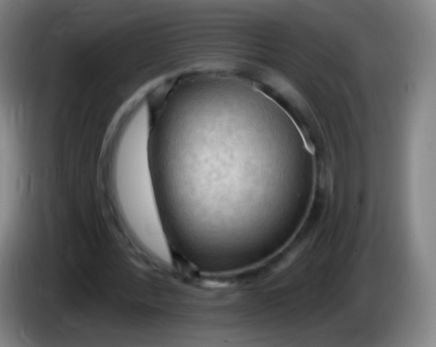 X0000085320388200703302049