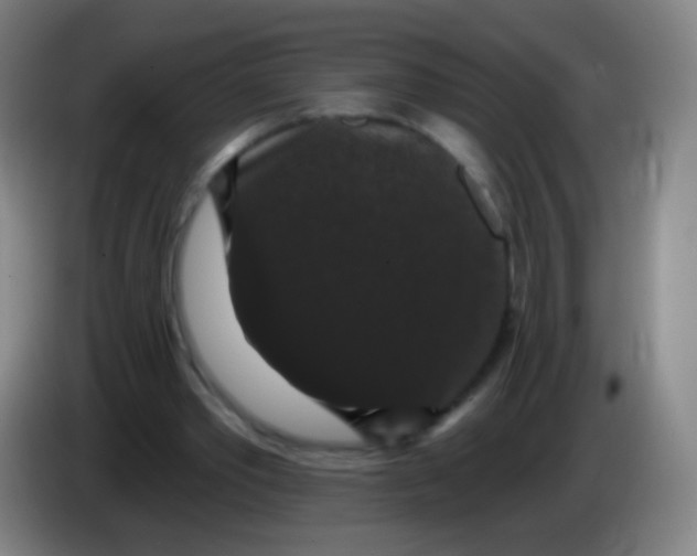X0000085320389200703302049