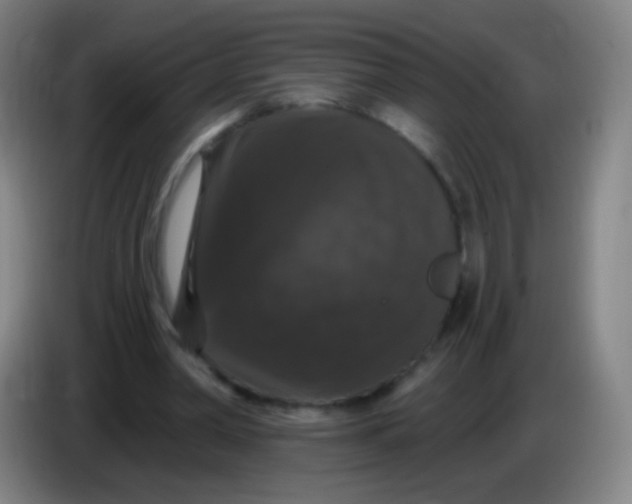 X0000085320390200703302049