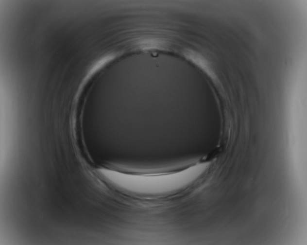 X0000085320391200703302049