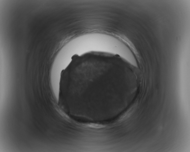 X0000085320393200703302049