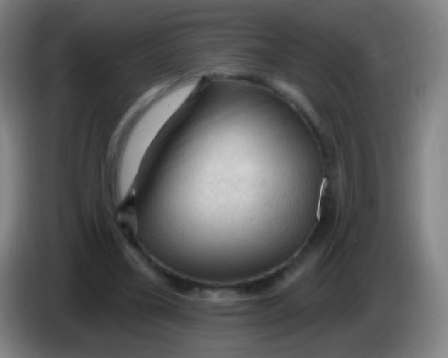 X0000085320395200703302049