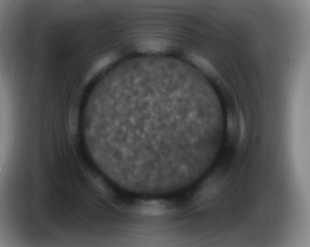 X0000085320396200703302049