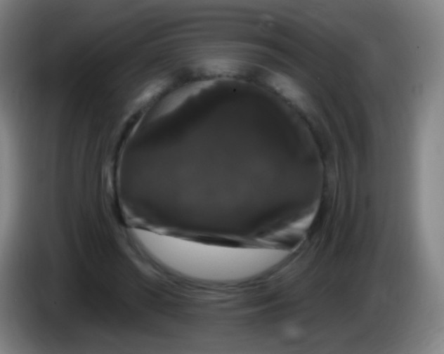 X0000085320398200703302049