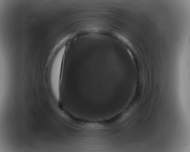 X0000085320399200703302049