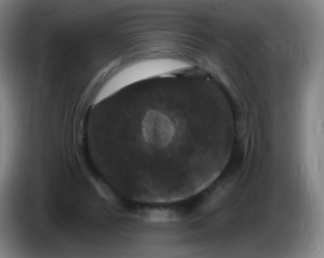X0000085320400200703302049