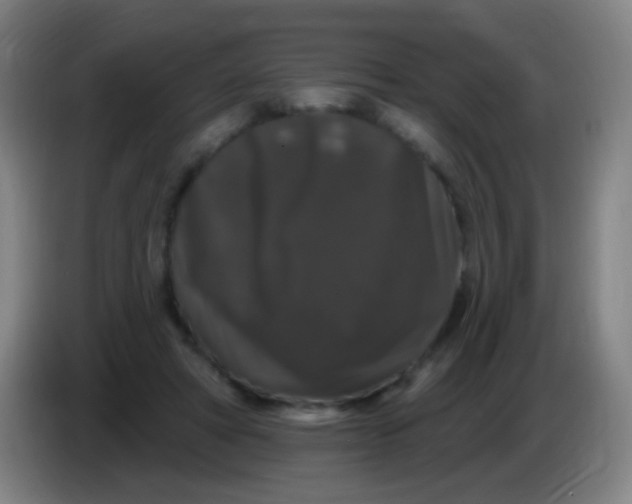 X0000085320402200703302049