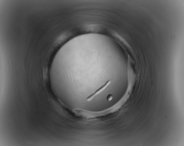 X0000085320403200703302049