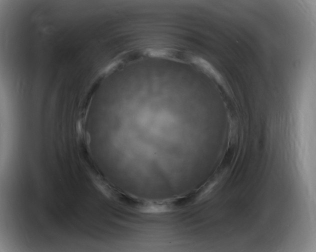 X0000085320405200703302049