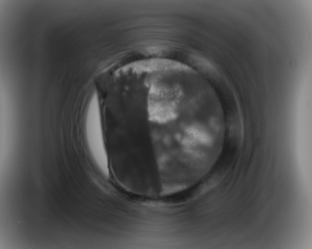 X0000085320408200703302049