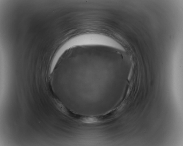 X0000085320409200703302049