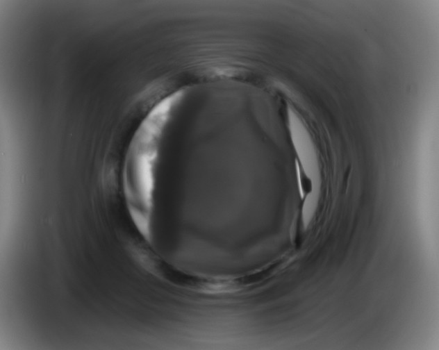 X0000085320410200703302049