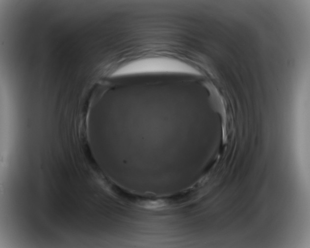 X0000085320411200703302049