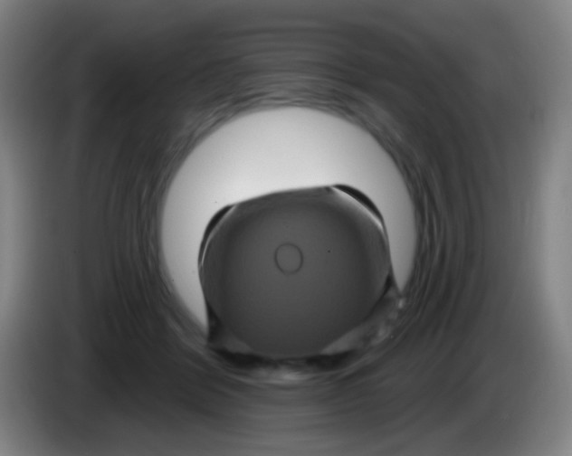 X0000085320412200703302049