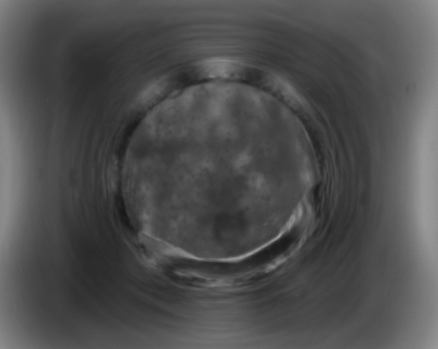 X0000085320413200703302049