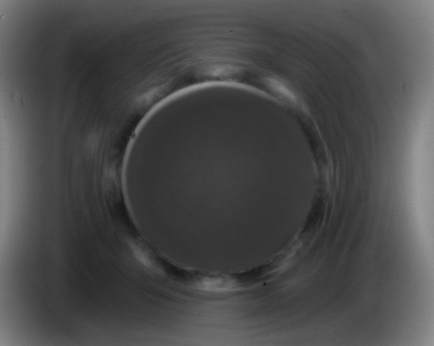 X0000085320415200703302049