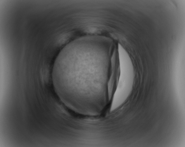X0000085320416200703302049