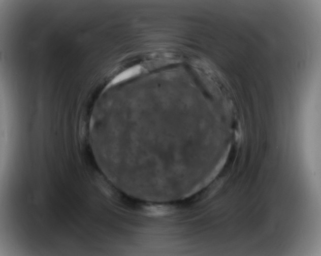 X0000085320417200703302049