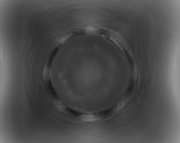 X0000085320419200703302049