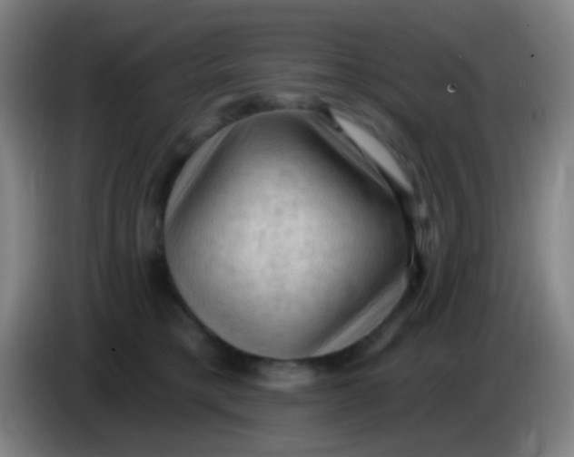 X0000085320421200703302049