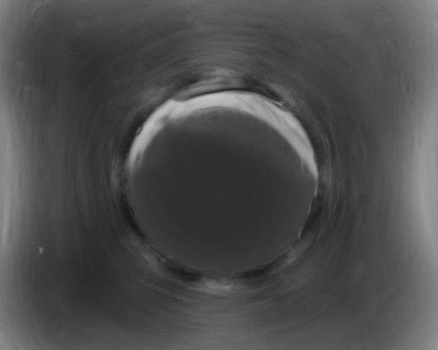 X0000085320423200703302048