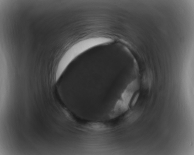X0000085320424200703302048