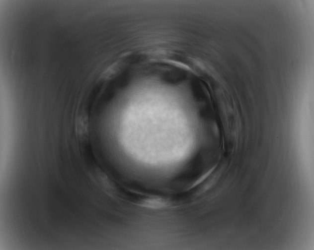 X0000085320425200703302048
