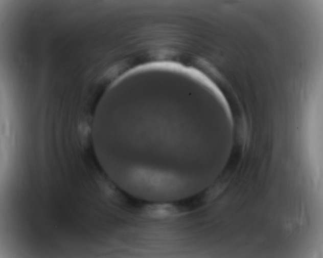 X0000085320427200703302048