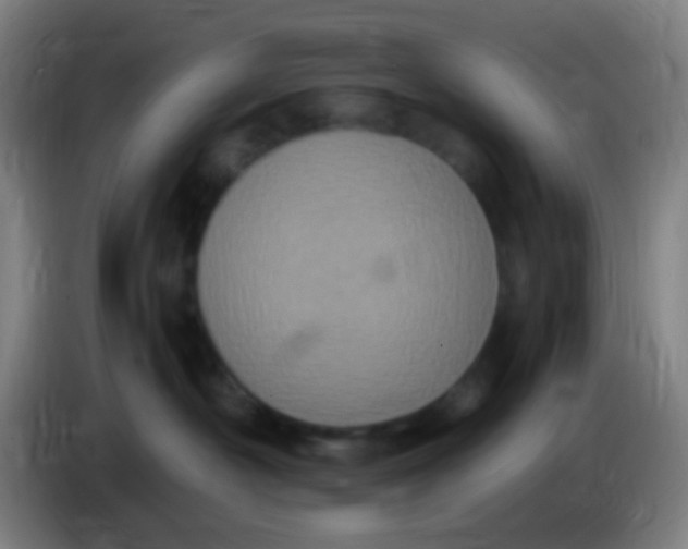 X0000085320430200703302048