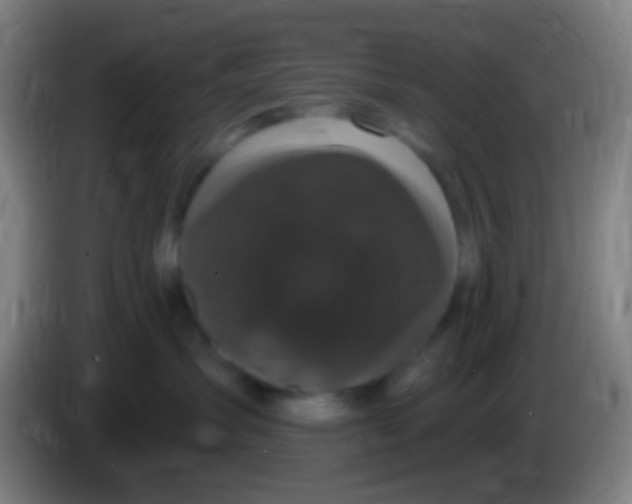 X0000085320431200703302048