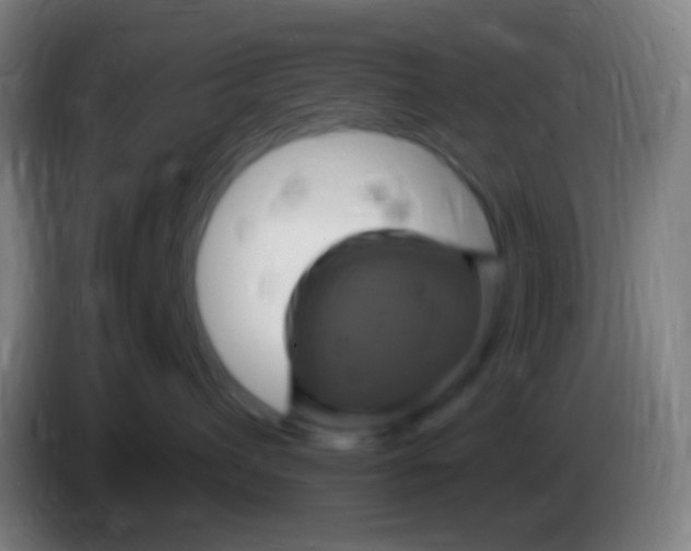 X0000085320432200703302048