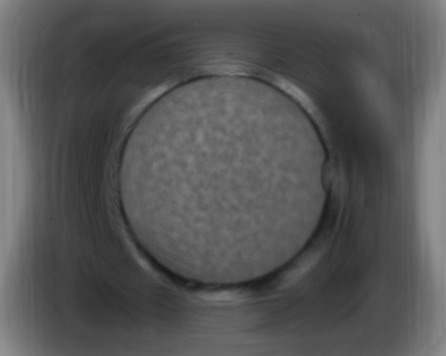 X0000085320433200703302048
