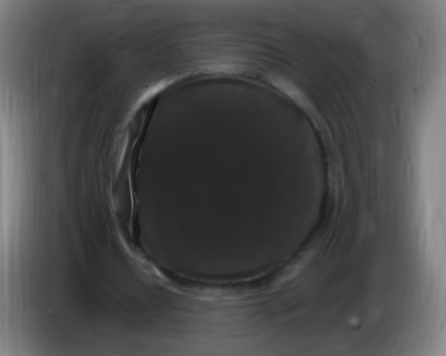 X0000085320434200703302048