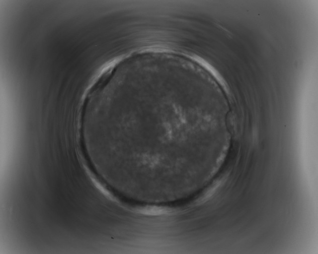 X0000085320437200703302048