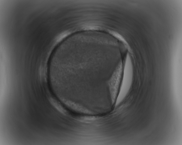 X0000085320439200703302048