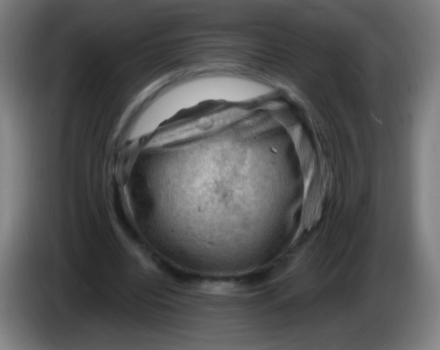 X0000085320440200703302048