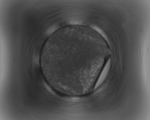 X0000085320441200703302048