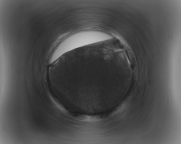 X0000085320442200703302048