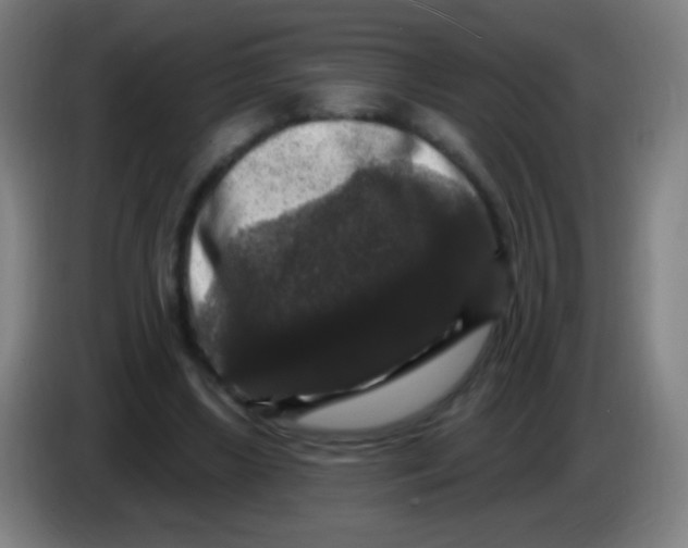 X0000085320443200703302048