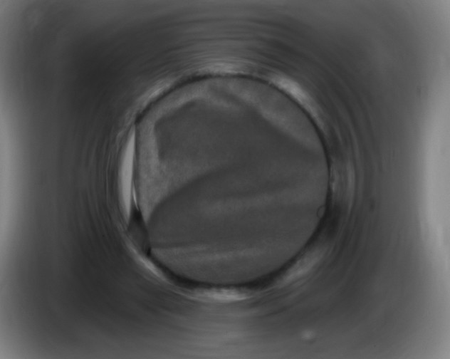 X0000085320445200703302048