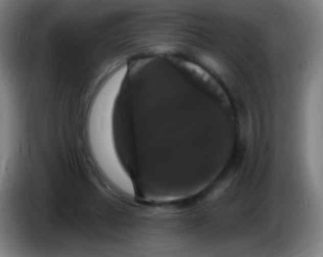 X0000085320447200703302048