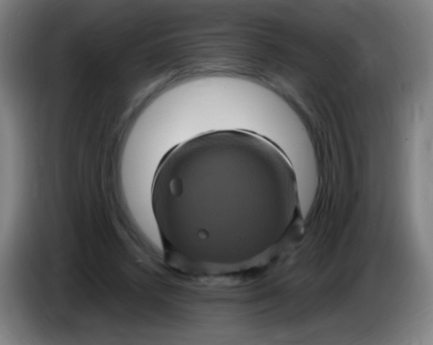 X0000085320448200703302048