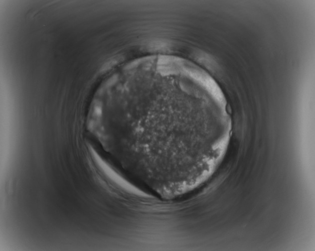 X0000085320449200703302048