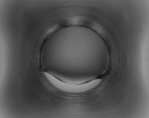 X0000085320450200703302048