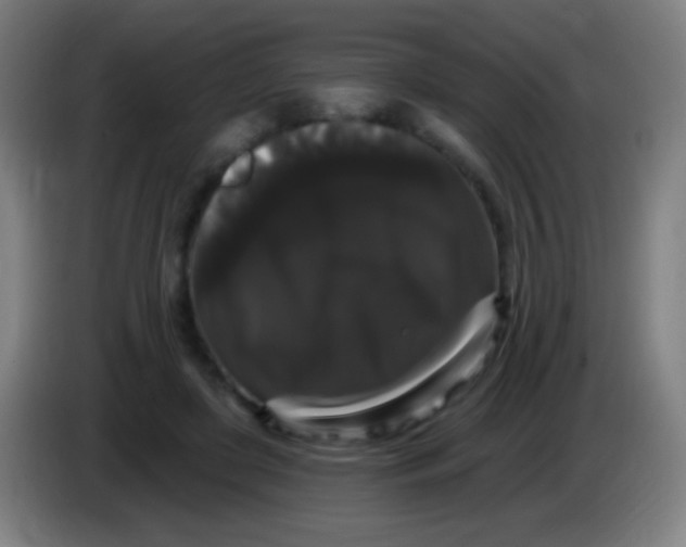 X0000085320451200703302048