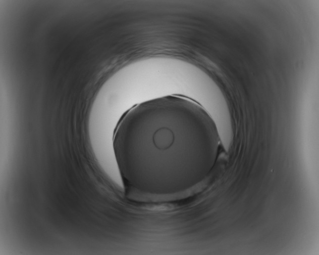 X0000085320452200703302048