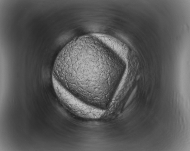 X0000085320453200703302048