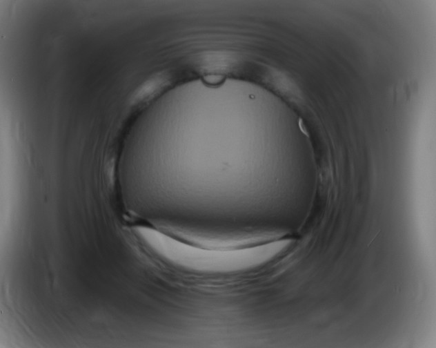 X0000085320454200703302048
