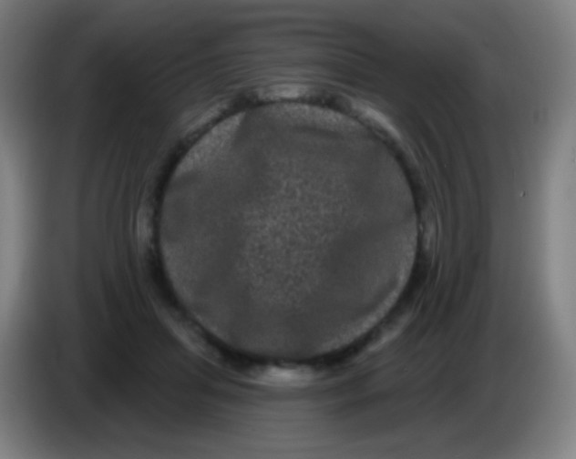 X0000085320455200703302048