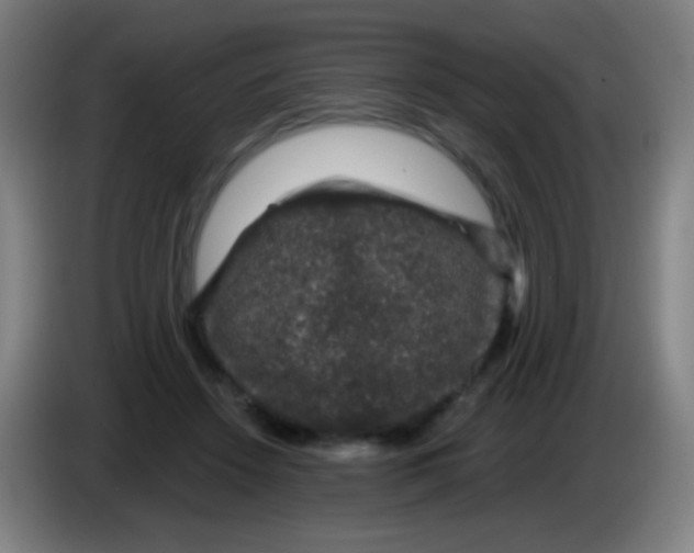 X0000085320456200703302048